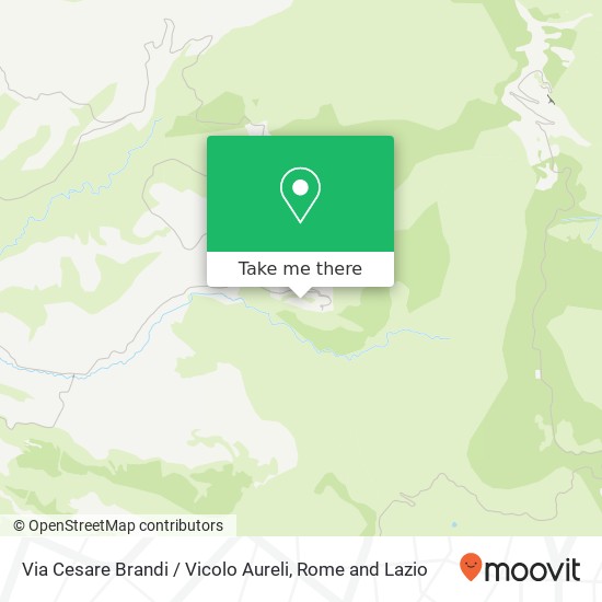 Via Cesare Brandi / Vicolo Aureli map