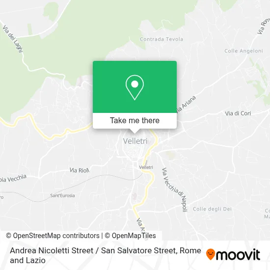 Andrea Nicoletti Street / San Salvatore Street map
