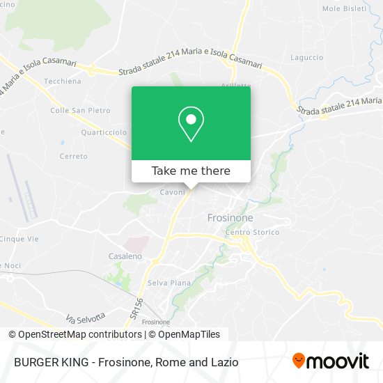 BURGER KING - Frosinone map