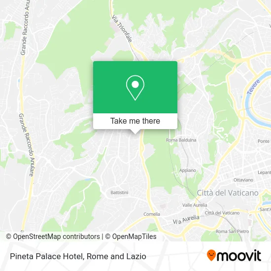 Pineta Palace Hotel map
