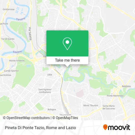 Pine Grove of Ponte Tazio map