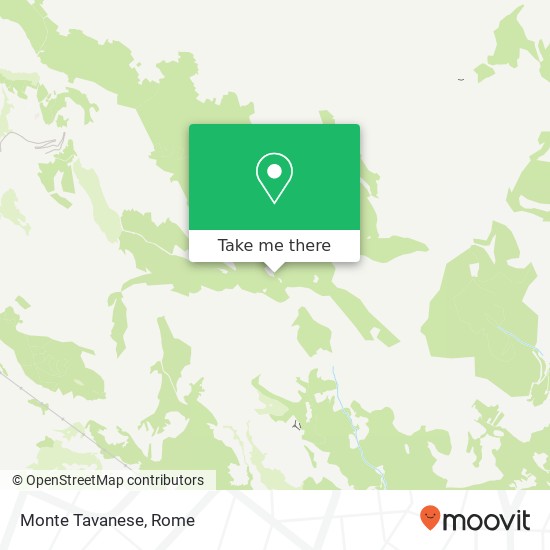 Monte Tavanese map