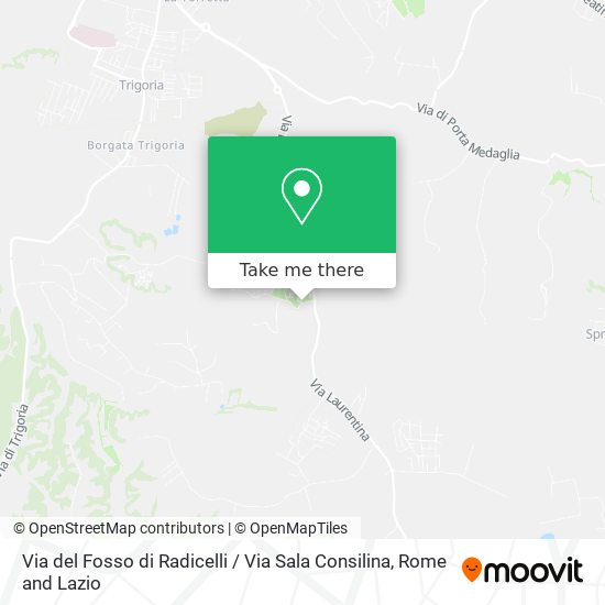 Via del Fosso di Radicelli / Via Sala Consilina map