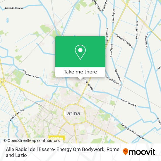 Alle Radici dell'Essere- Energy Om Bodywork map