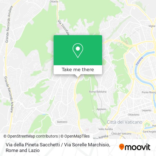 Via della Pineta Sacchetti / Via Sorelle Marchisio map