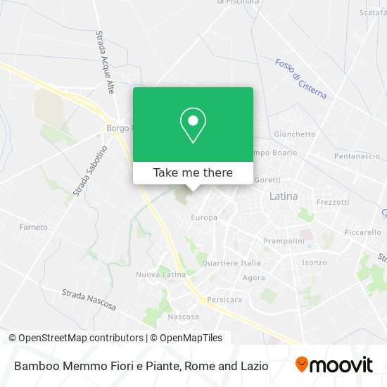 Bamboo Memmo Fiori e Piante map