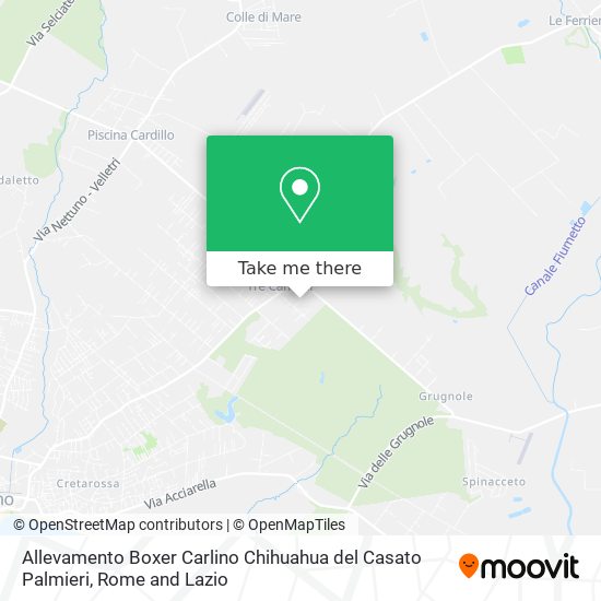 Allevamento Boxer Carlino Chihuahua del Casato Palmieri map