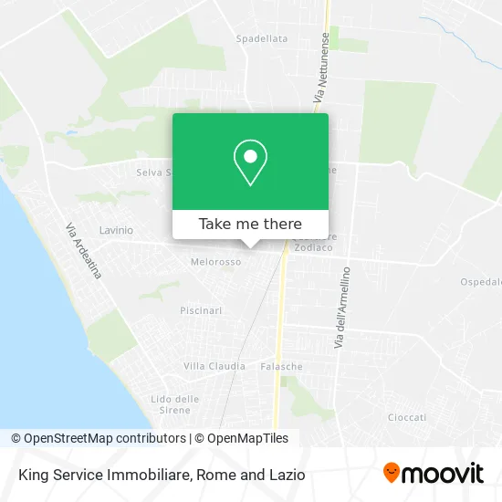 King Service Real Estate map