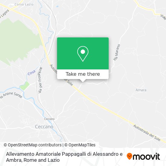 Allevamento Amatoriale Pappagalli di Alessandro e Ambra map