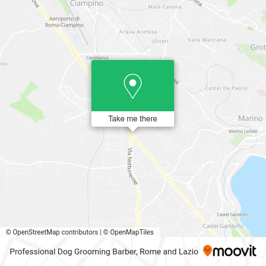 Professional Dog Grooming Barber map