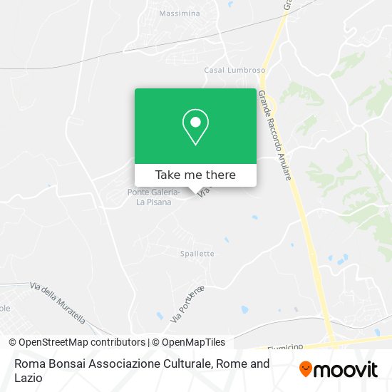 Roma Bonsai Associazione Culturale map