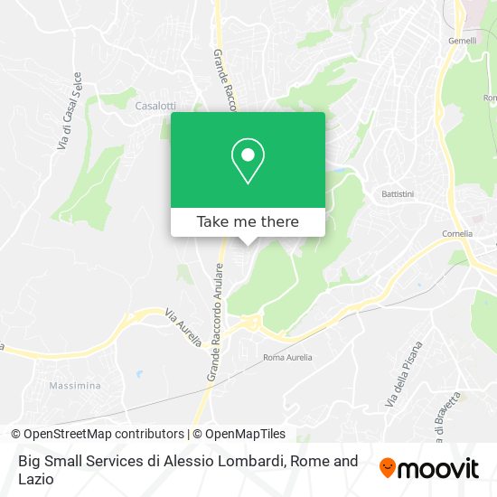 Big Small Services di Alessio Lombardi map