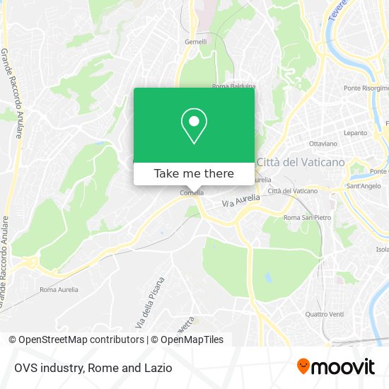 OVS industry map