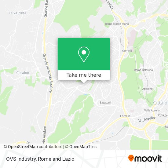 OVS industry map