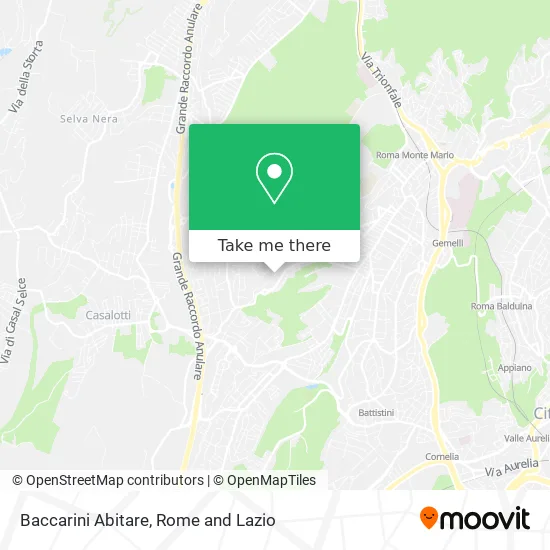 Baccarini Living map