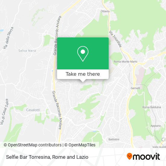 Selfie Bar Torresina map