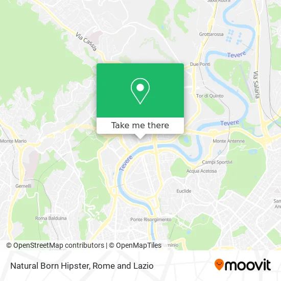 Natural Born Hipster map