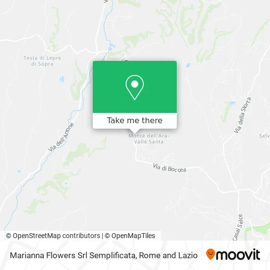 Marianna Flowers SRL map