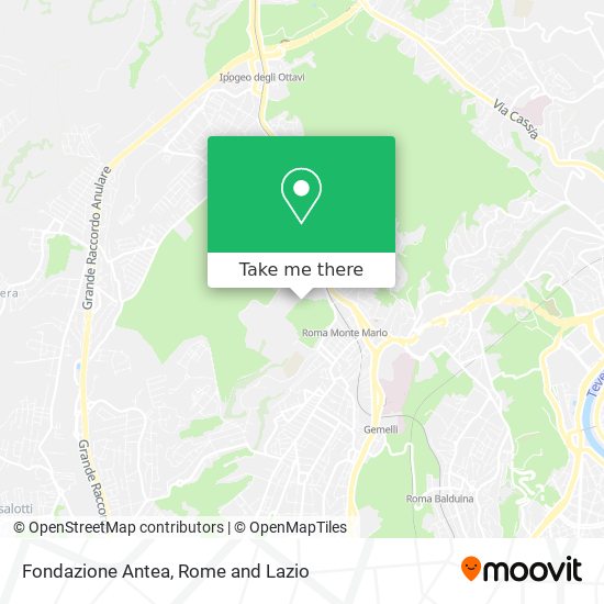 Fondazione Antea map