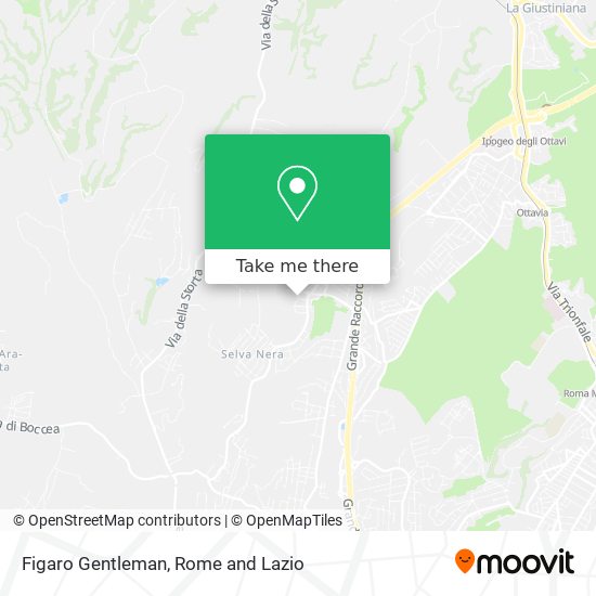 Figaro Gentleman map