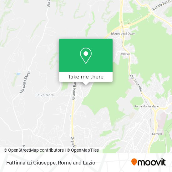 Fattinnanzi Giuseppe map