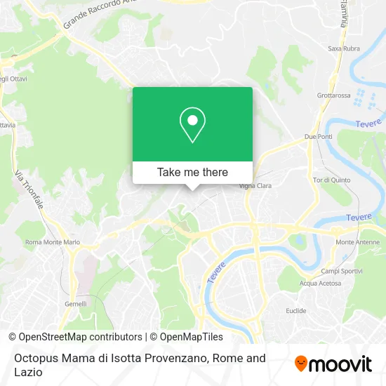 Octopus Mama by Isotta Provenzano map