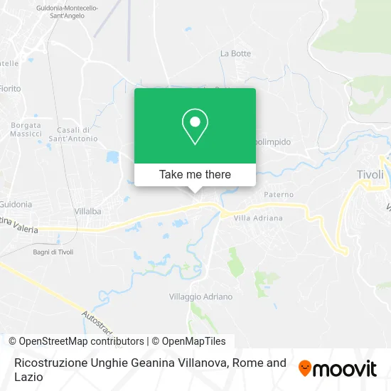 Geanina Villanova Nail Reconstruction map