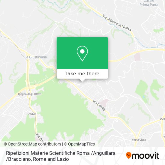 Ripetizioni Materie Scientifiche Roma /Anguillara /Bracciano map