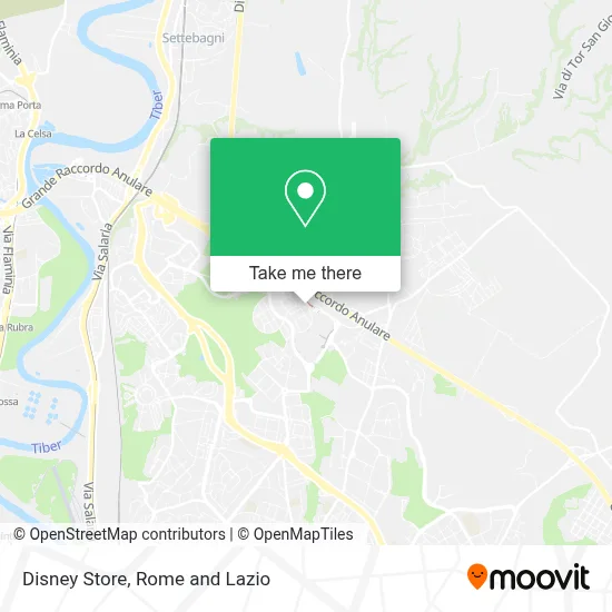 Disney Store map