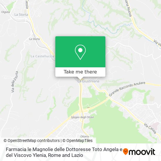 Farmacia le Magnolie delle Dottoresse Toto Angela e del Viscovo Ylenia map