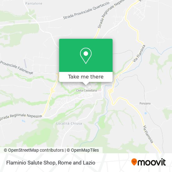 Flaminio Salute Shop map