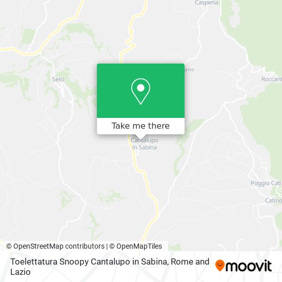 Toelettatura Snoopy Cantalupo in Sabina map