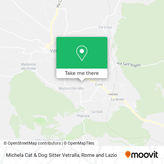 Michela Cat & Dog Sitter Vetralla map