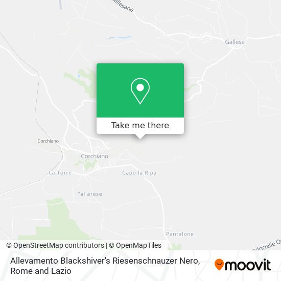 Allevamento Blackshiver's Riesenschnauzer Nero map