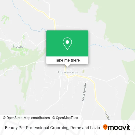 Beauty Pet Professional Grooming map