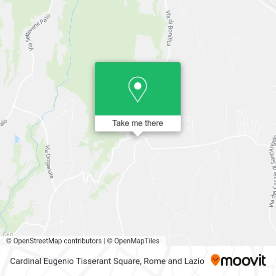 Cardinal Eugenio Tisserant Square map