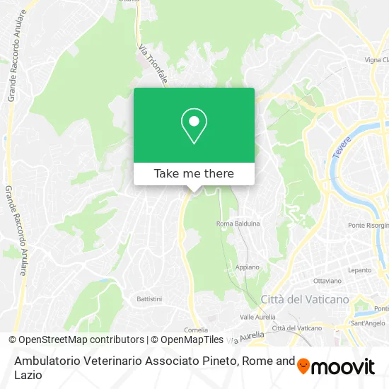 Pineto Associated Veterinary Clinic map