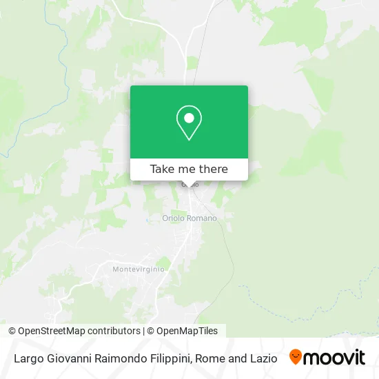 Giovanni Raimondo Filippini Wide Street map