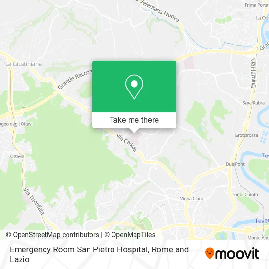 Emergency Room San Pietro Hospital map