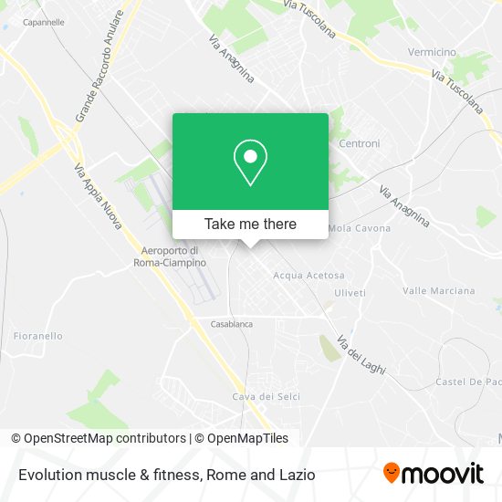 Evolution muscle & fitness map