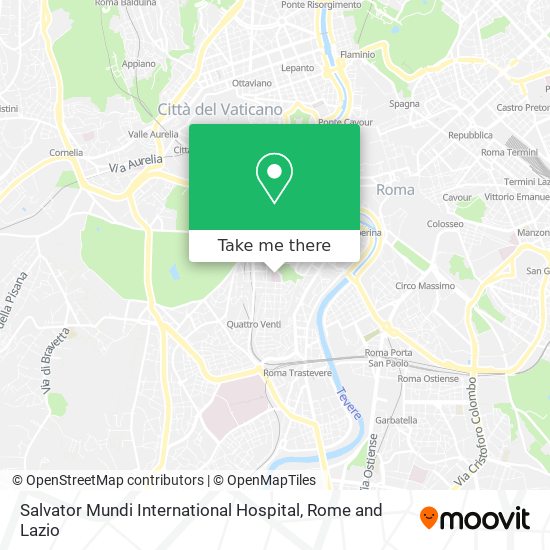 Salvator Mundi International Hospital map