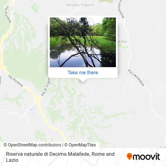 Decima Malafede Nature Reserve map
