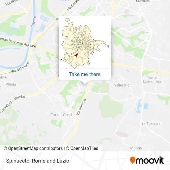 Spinaceto map