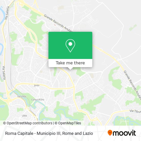 Roma Capitale - Municipio III map
