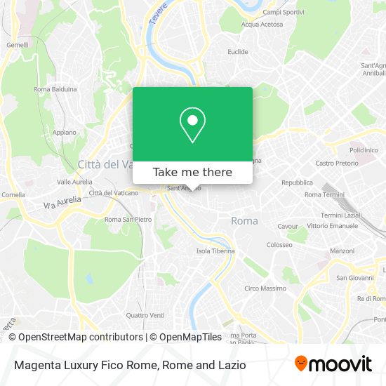 Magenta Luxury Fico Rome map