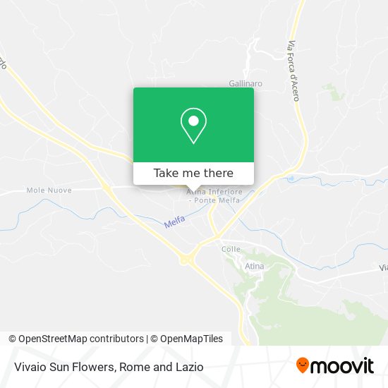 Vivaio Sun Flowers map