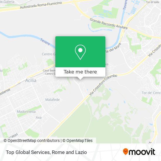 Top Global Services map