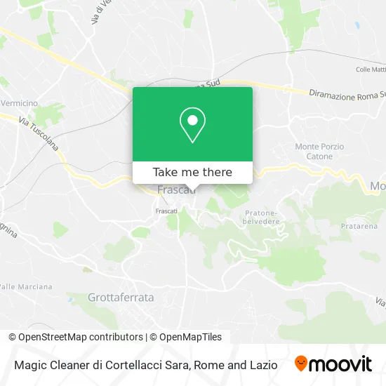 Magic Cleaner di Cortellacci Sara map