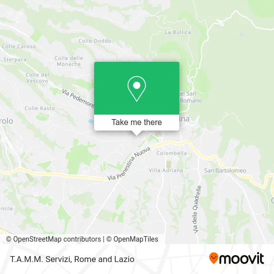 T.A.M.M. Services map