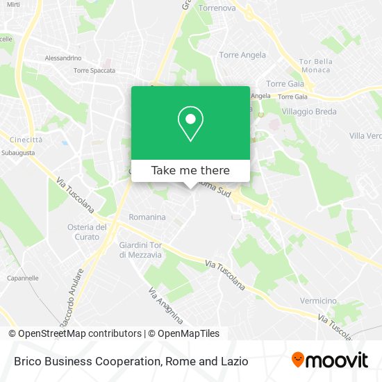 Brico Business Cooperation map